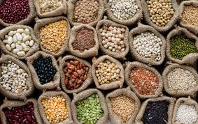 seeds